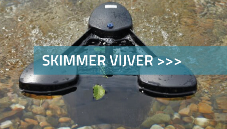 Skimmer vijver