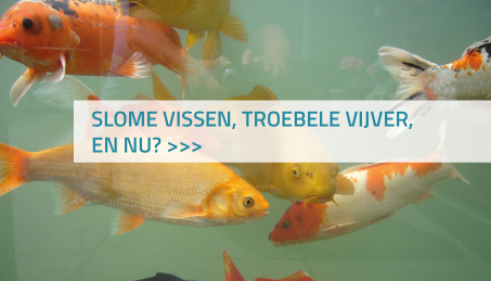 Slome vissen, troebele vijver, en nu?!