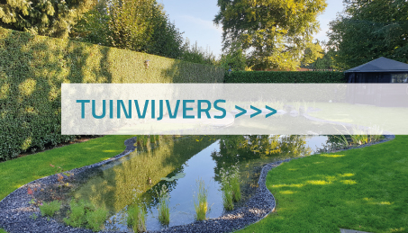 Tuinvijvers