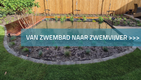 Van zwembad naar zwemvijver