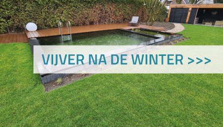 Vijver na de winter