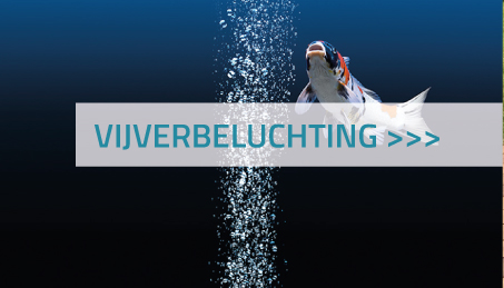 Vijver beluchting