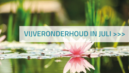 Vijveronderhoud in juli