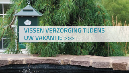 Vissen verzorging tijdens uw vakantie