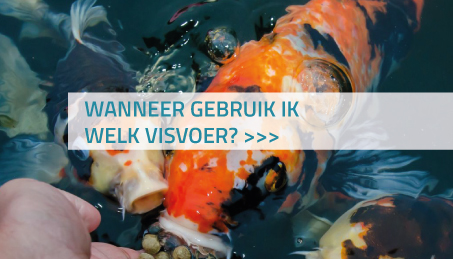 Wanneer gebruik ik welk visvoer?