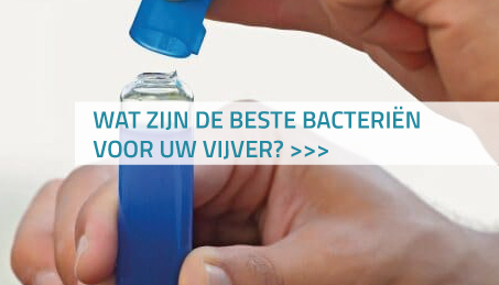 Wat zijn de beste bacteriën voor uw vijver?