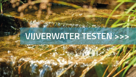Waterkwaliteit: vijverwater testen