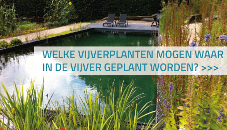 Welke vijverplanten mogen waar in de vijver geplant worden?