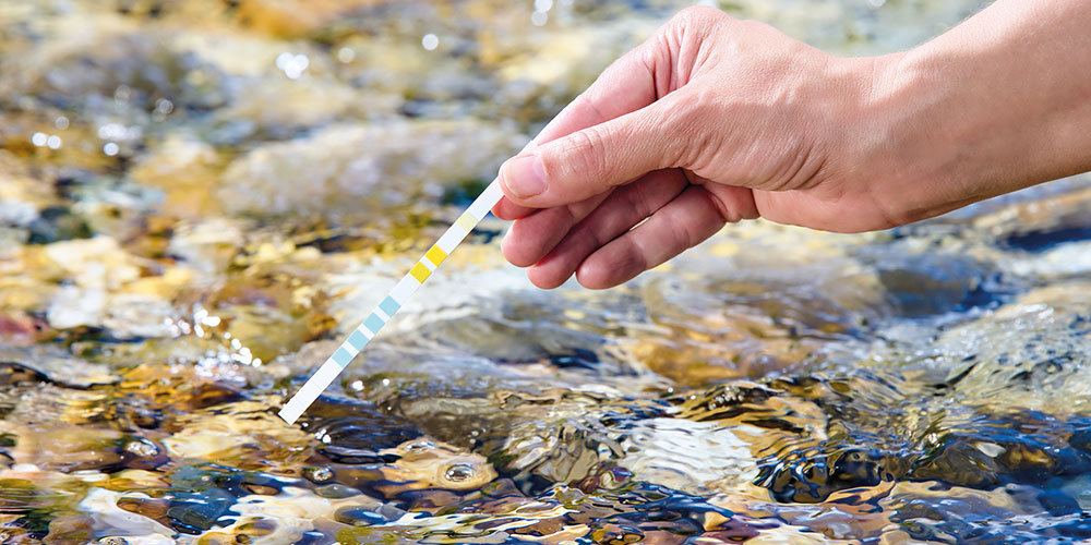 Header_hoe_gezond_is_de_vijver_water_testen_vijvercentrum_de_scheper_1