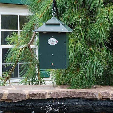 Koi café Voerautomaat koi café