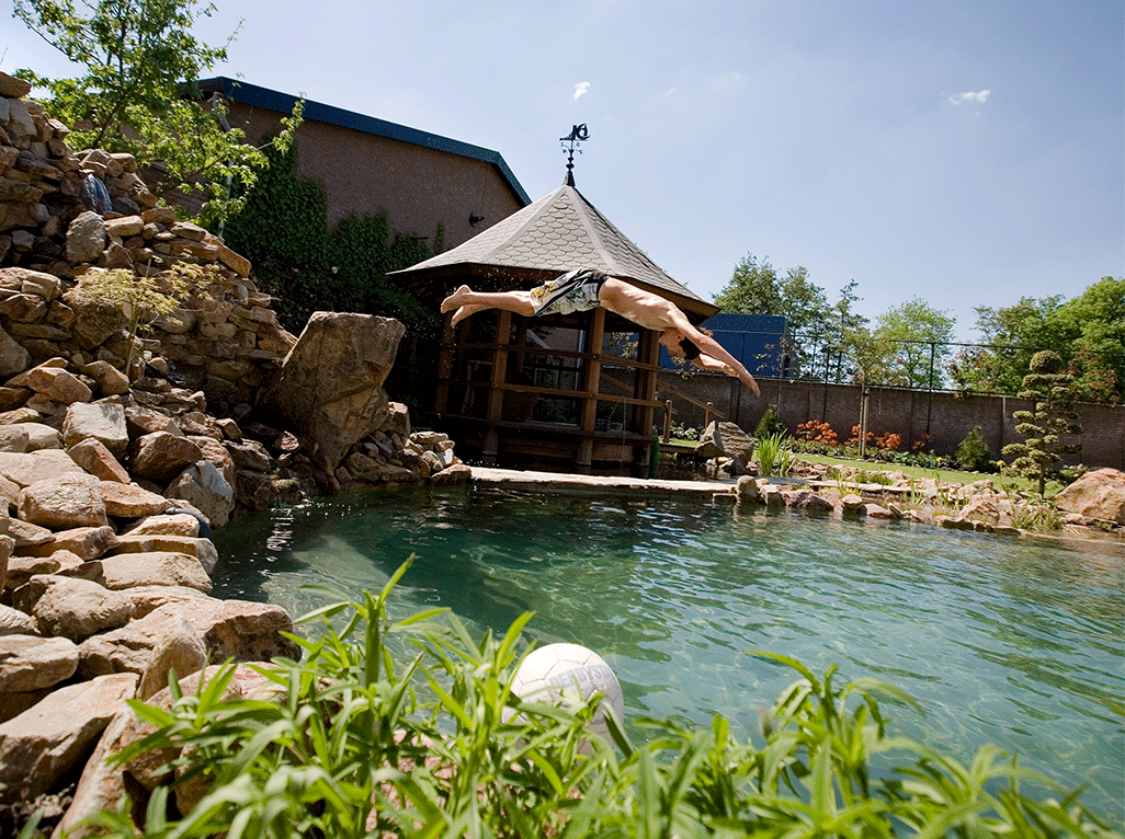 Natuurlijke zwemvijver Zwembad of zwemvijver?