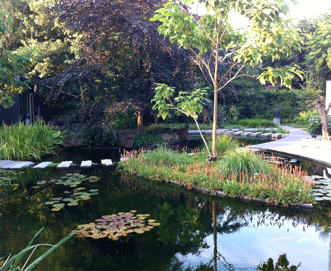 Vijverbalans Bio vijver