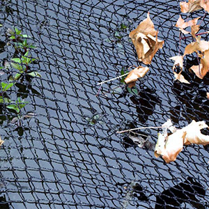 Vijvernet cover net afdeknet Vijvernet kopen