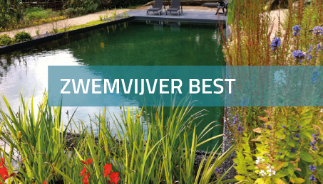 Zwemvijver Best