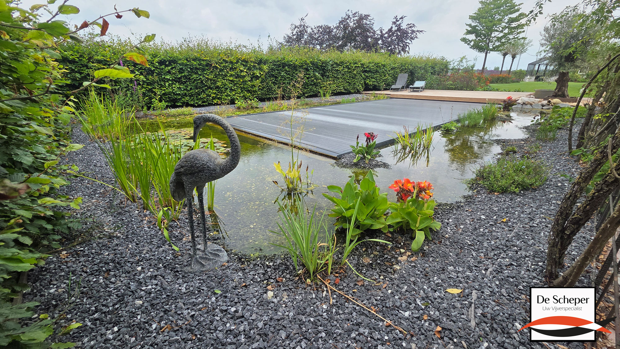 Zwemvijver_project_43_heusden_vijvercentrum_de_scheper_23
