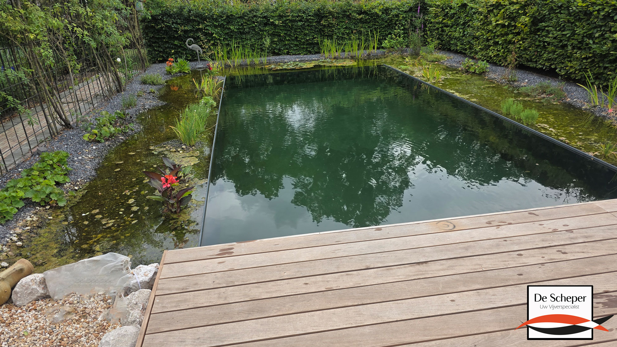 Zwemvijver_project_43_heusden_vijvercentrum_de_scheper_24