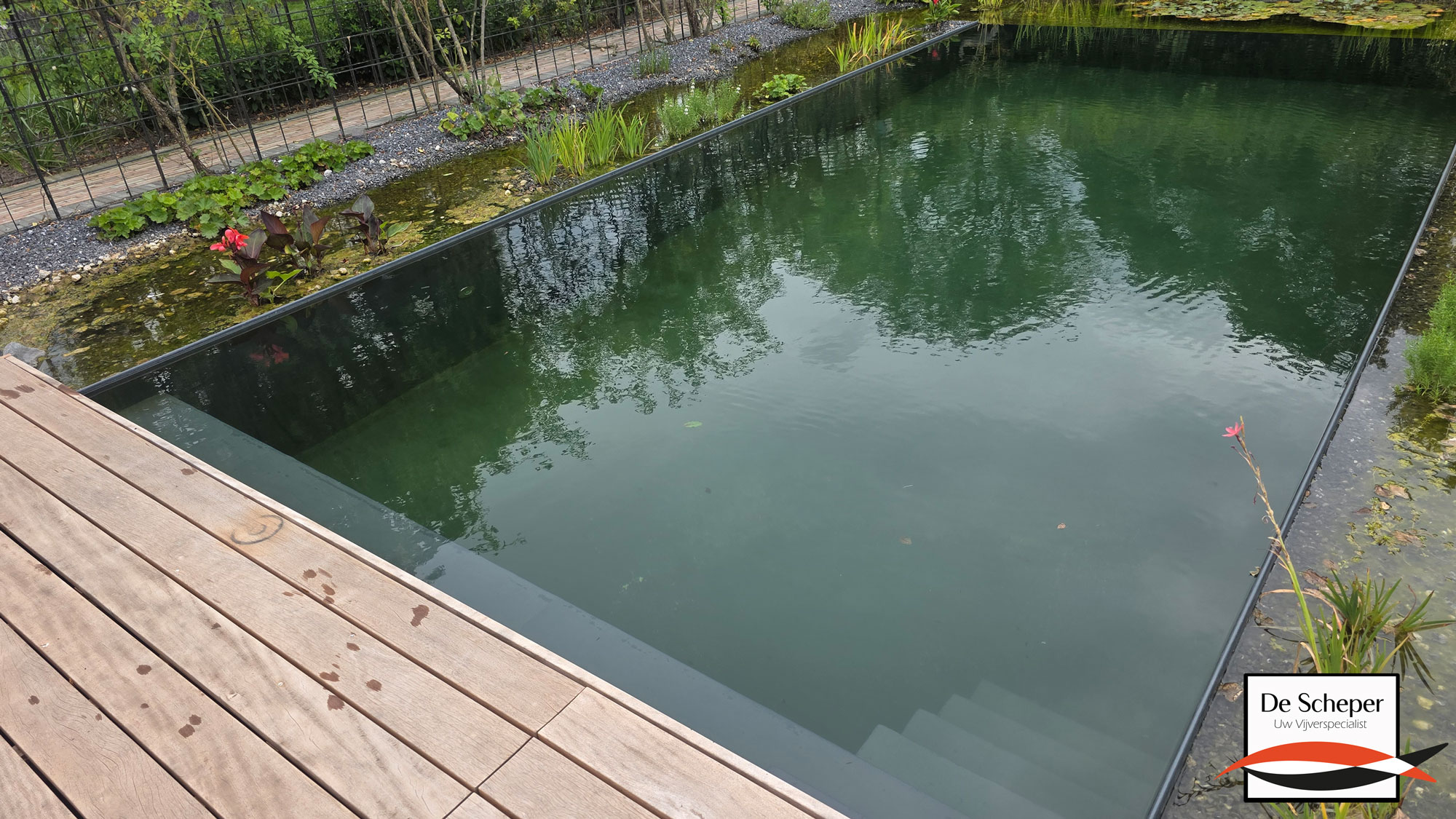 Zwemvijver_project_43_heusden_vijvercentrum_de_scheper_25