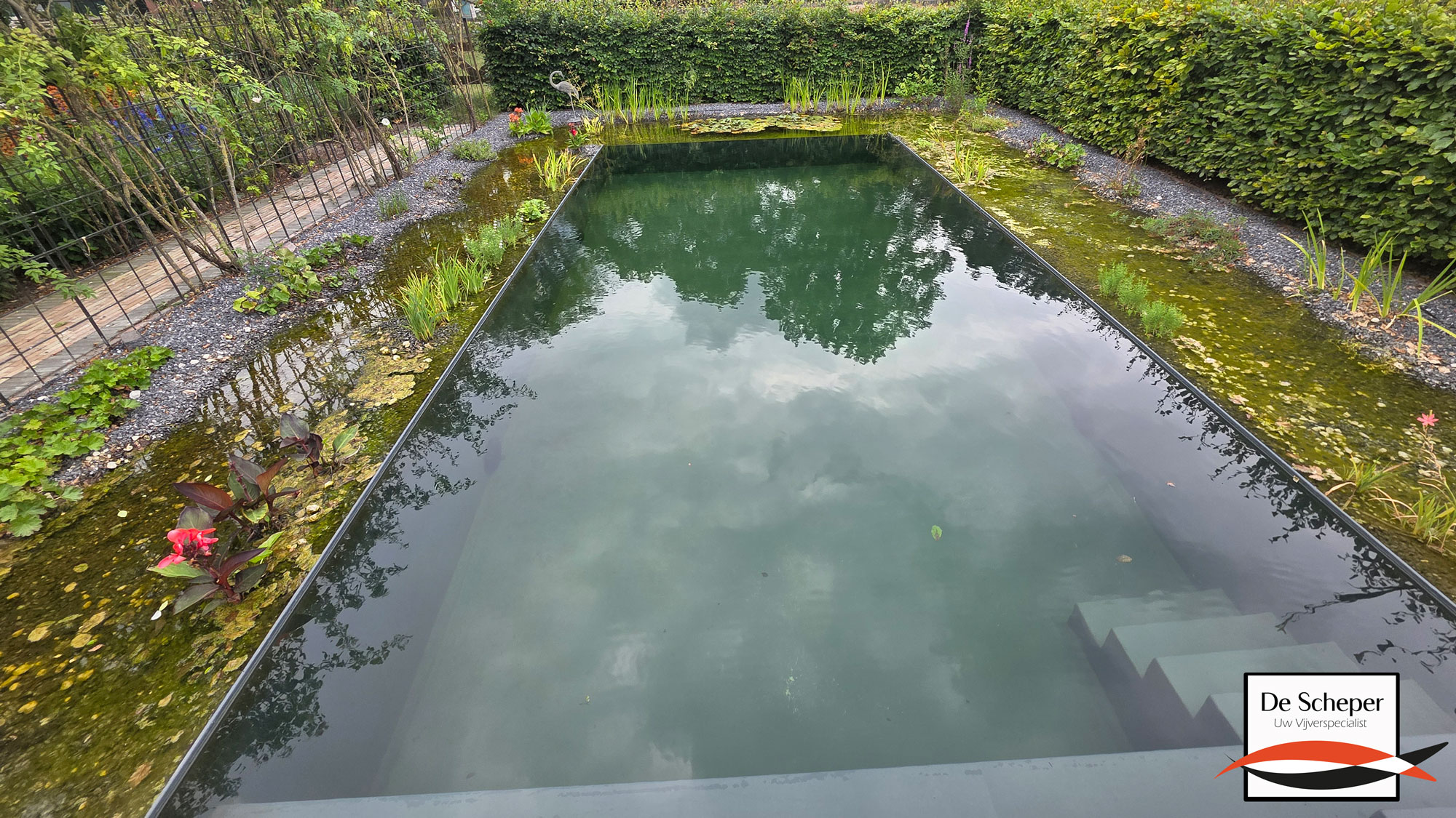 Zwemvijver_project_43_heusden_vijvercentrum_de_scheper_26