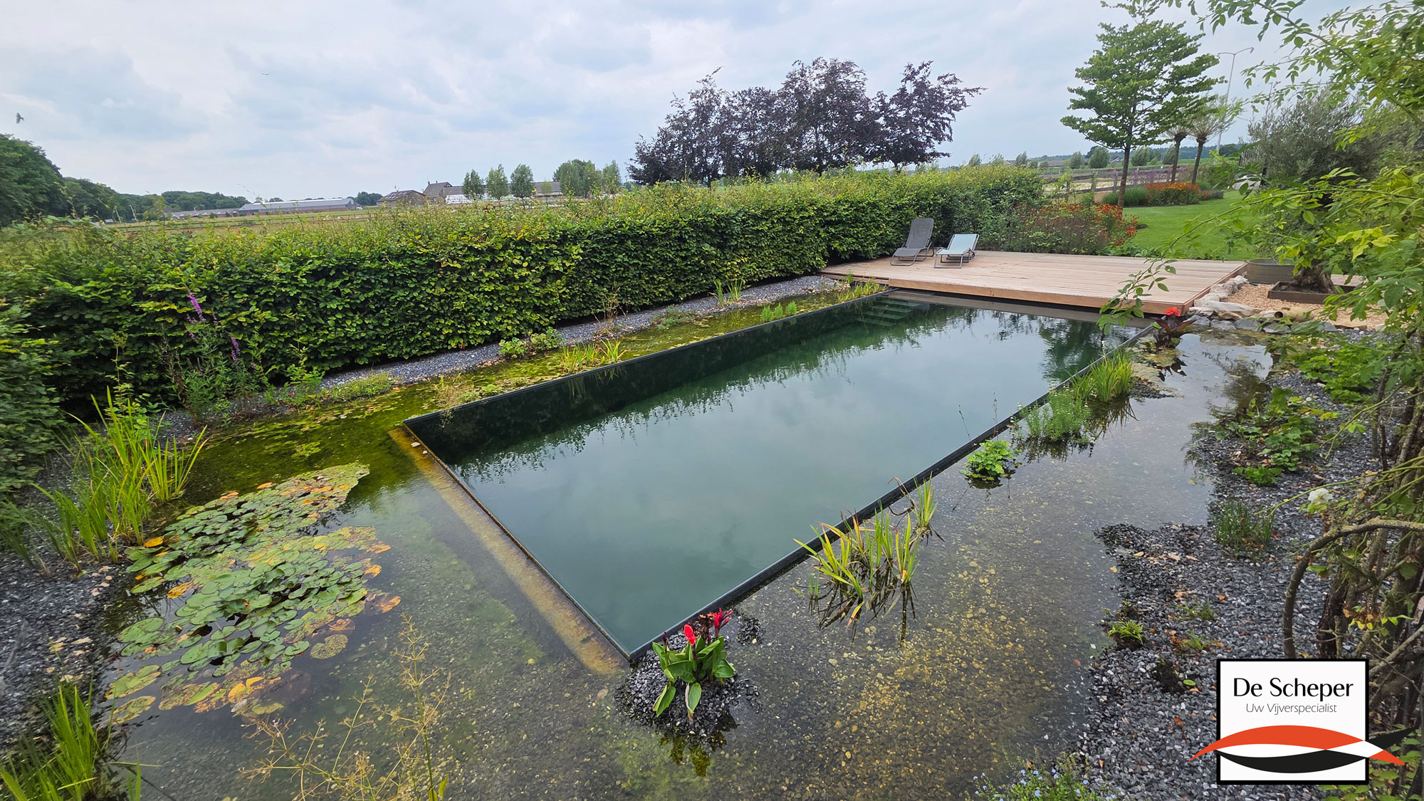 Zwemvijver_project_43_heusden_vijvercentrum_de_scheper_27