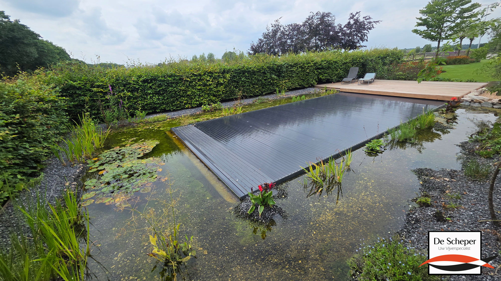 Zwemvijver_project_43_heusden_vijvercentrum_de_scheper_28