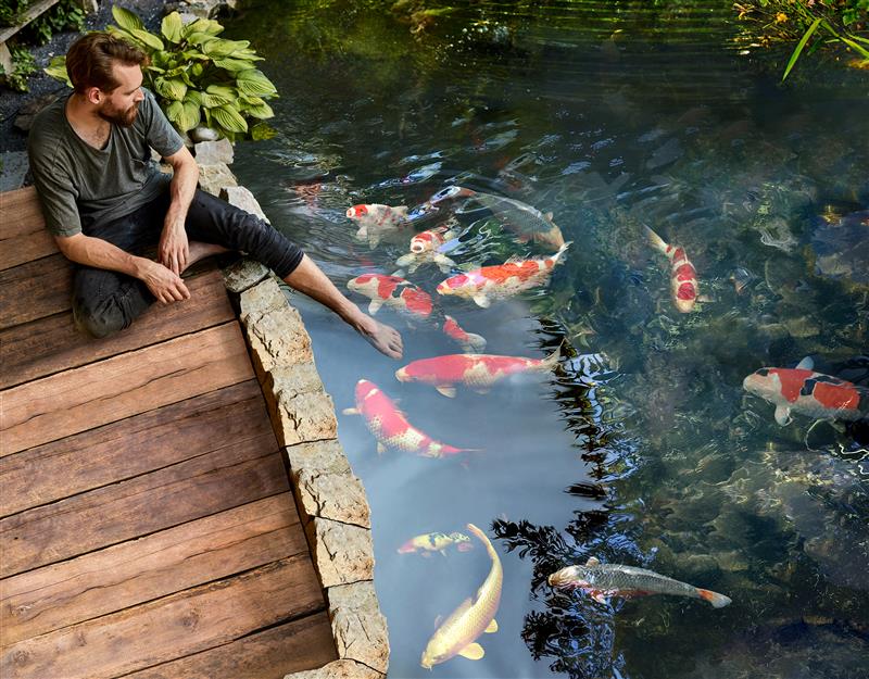 The_koi_experience_oase_vijvercentrum_de_scheper