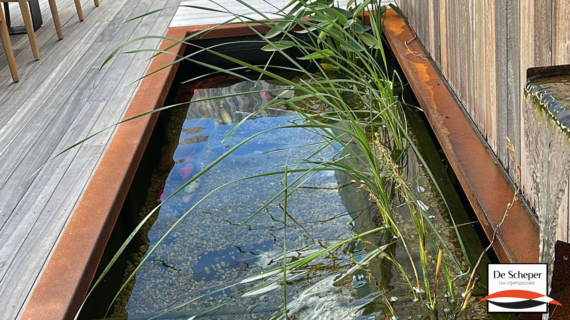 Smalle_bovengrondse_koivijver_met_waterval_vijvercentrum_de_scheper