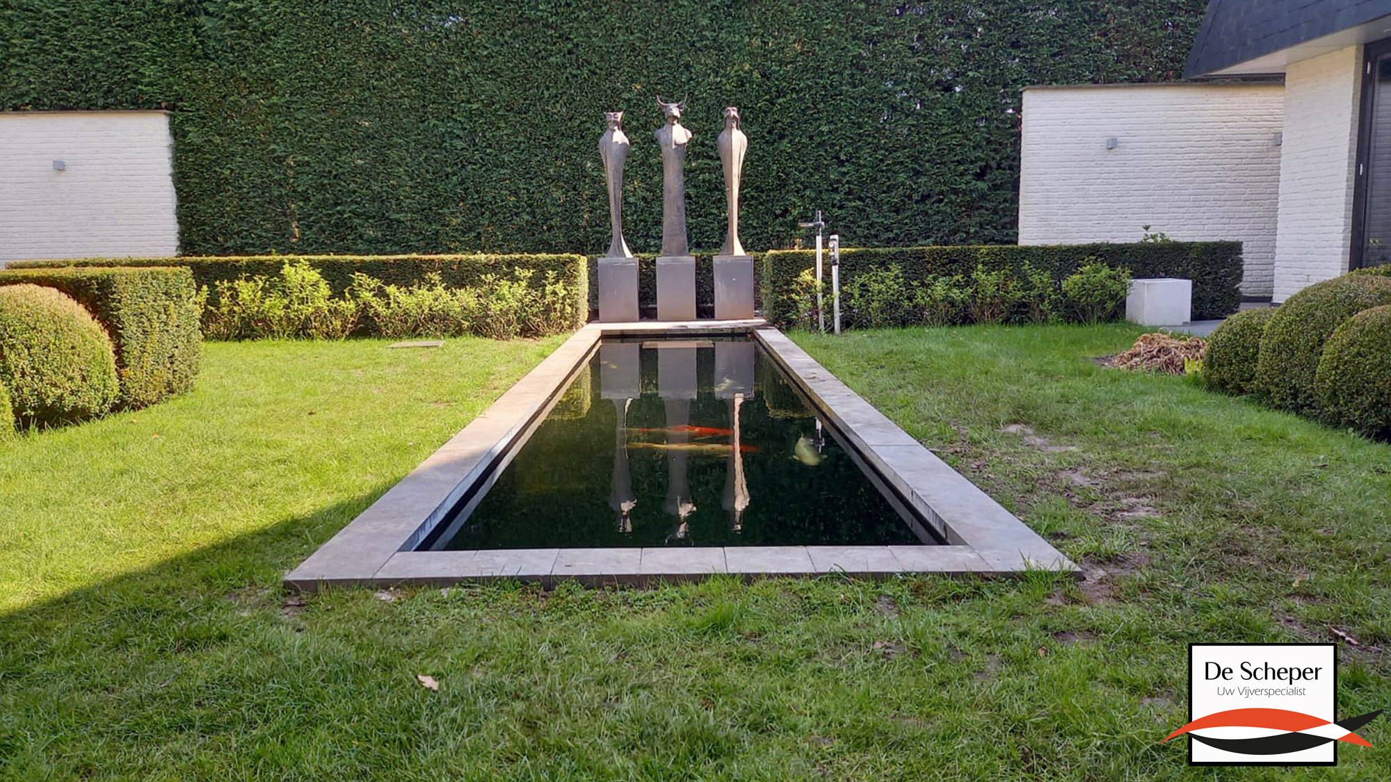 Elegant_Waterdesign_met_Levendige_Koi