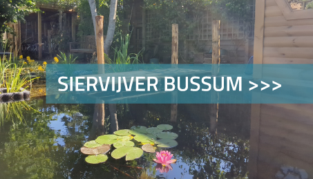 Siervijver Bussum