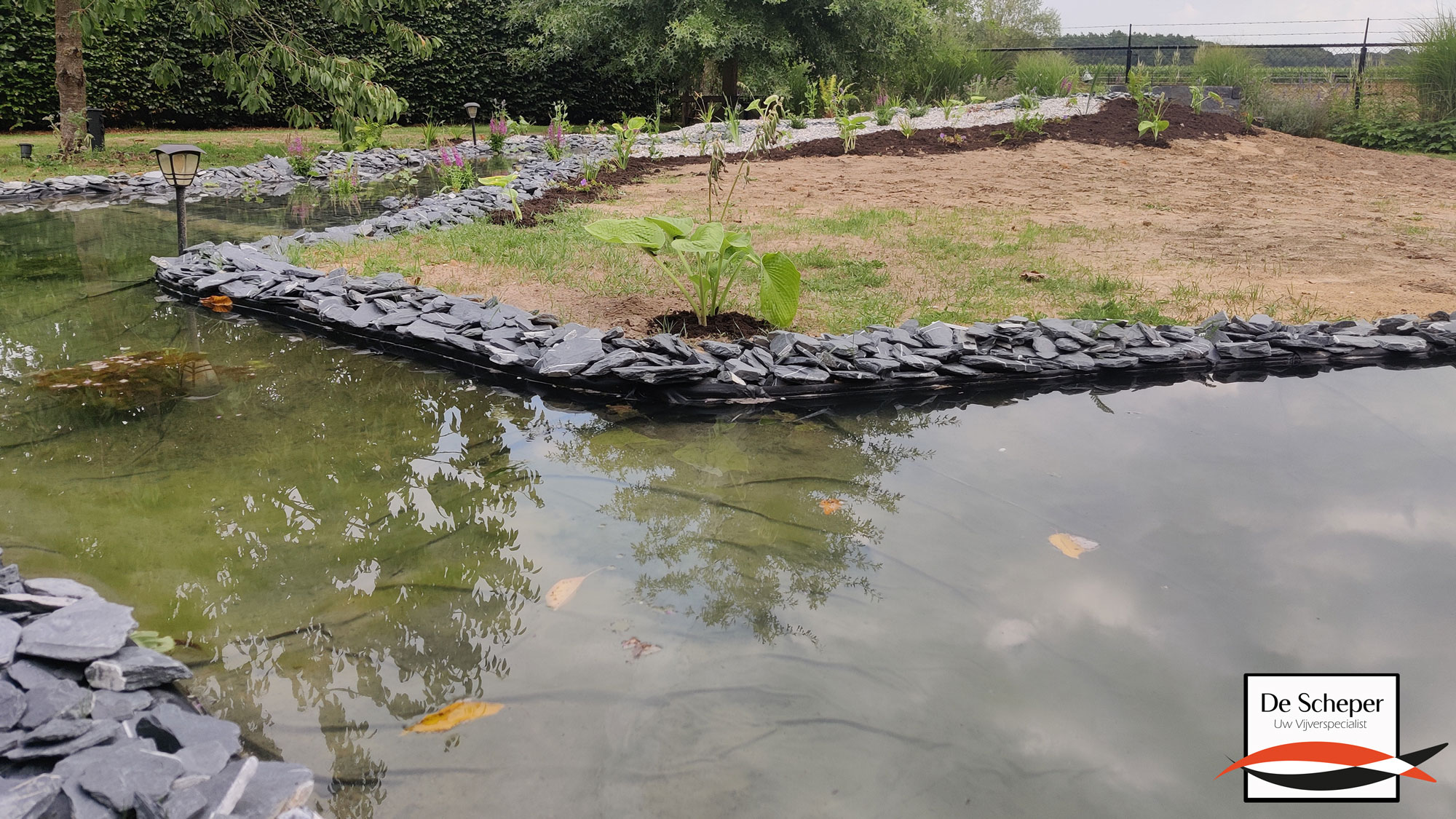 Unieke_Folievijver_met_Leisteenrand_en_Oeverplanten