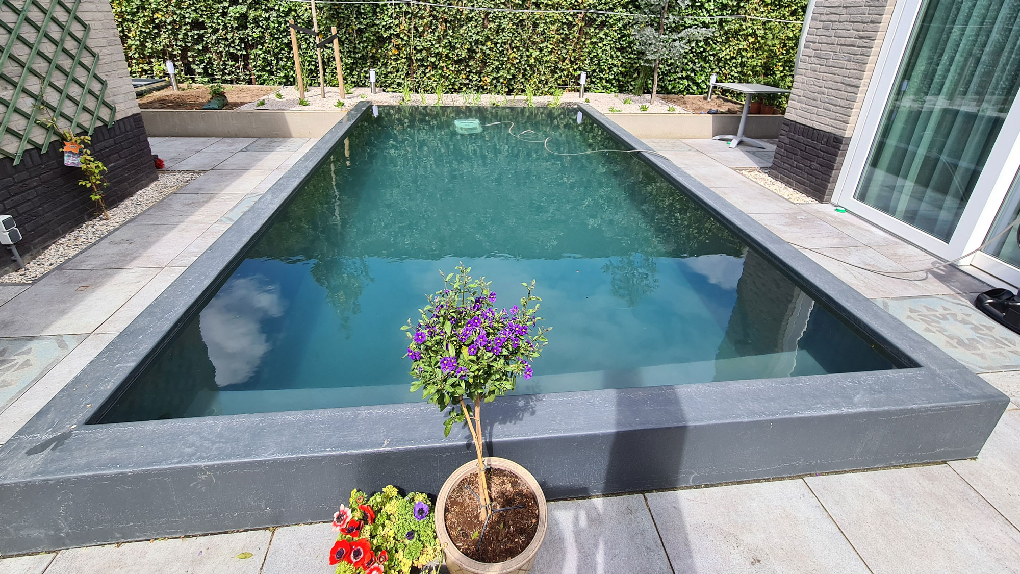 Voor- en nadelen van een natuurlijke zwemvijver zichtbaar in tuinontwerp