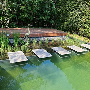 Voordelen zwemvijver