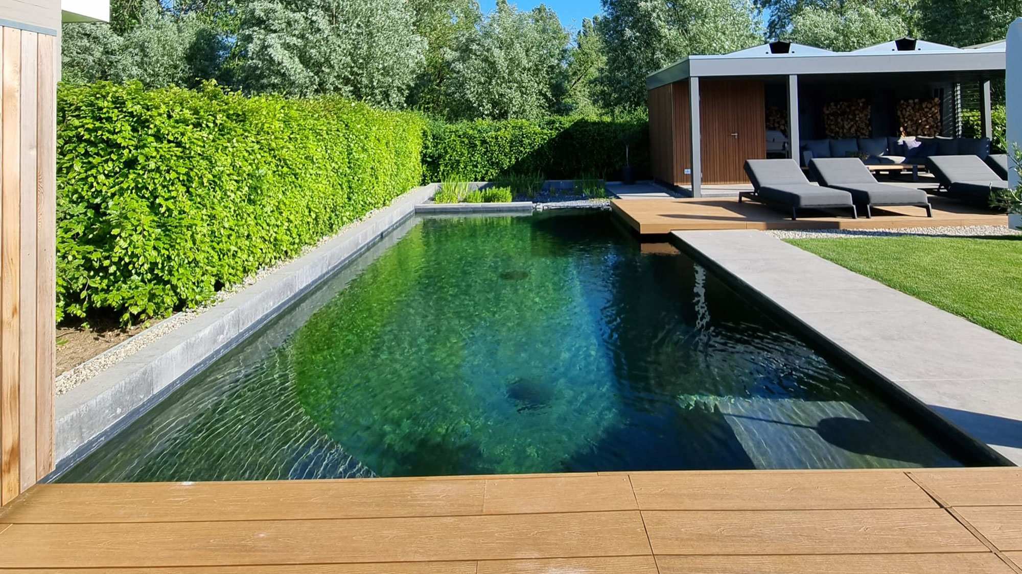 Voorbeeld van onderhoudsvriendelijke zwemvijver in tuin