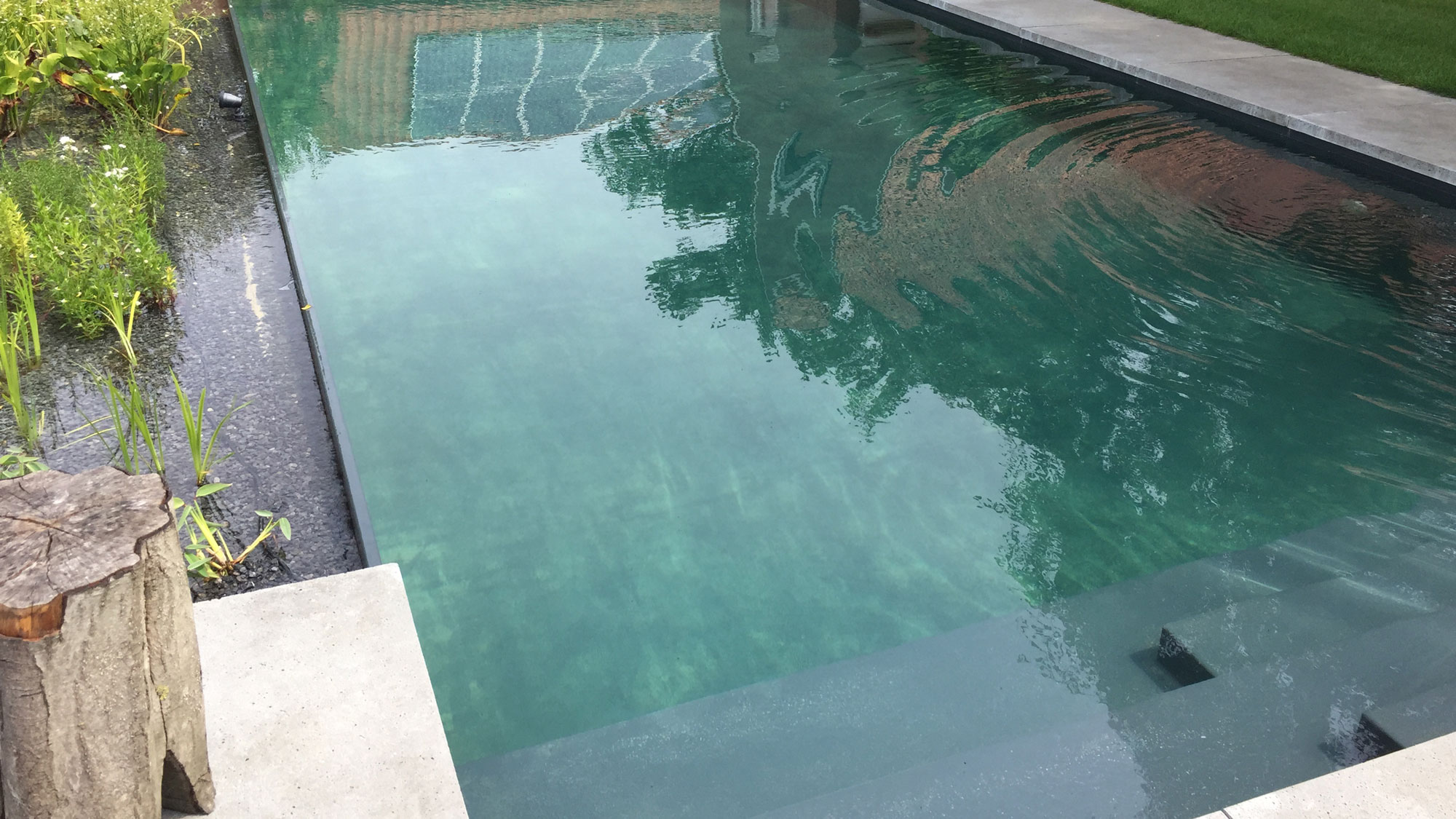 Ecologische zwemvijver met biologisch filtersysteem en planten