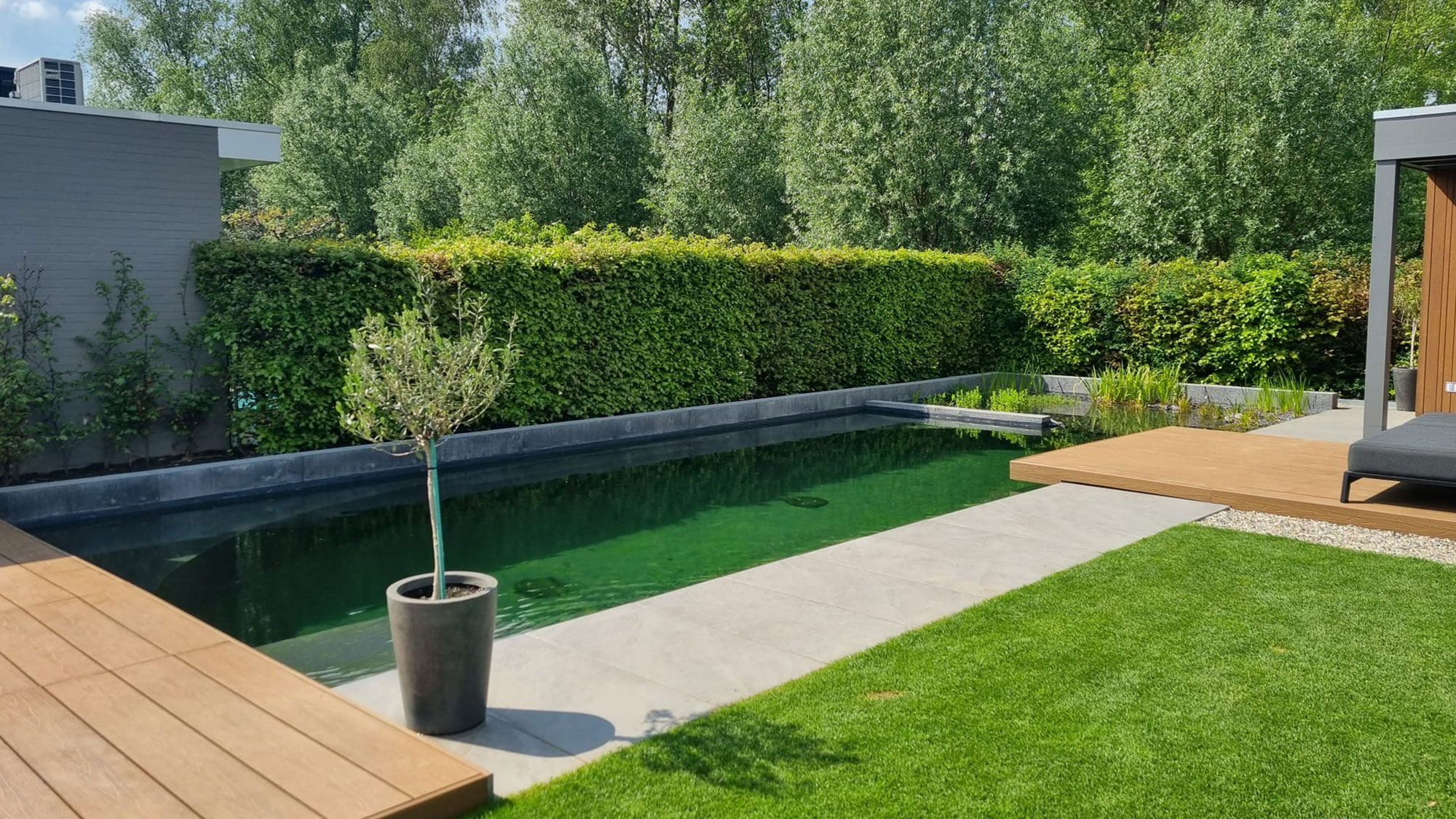 Zwemvijver met filterzone en zwemzone voor optimaal waterbeheer