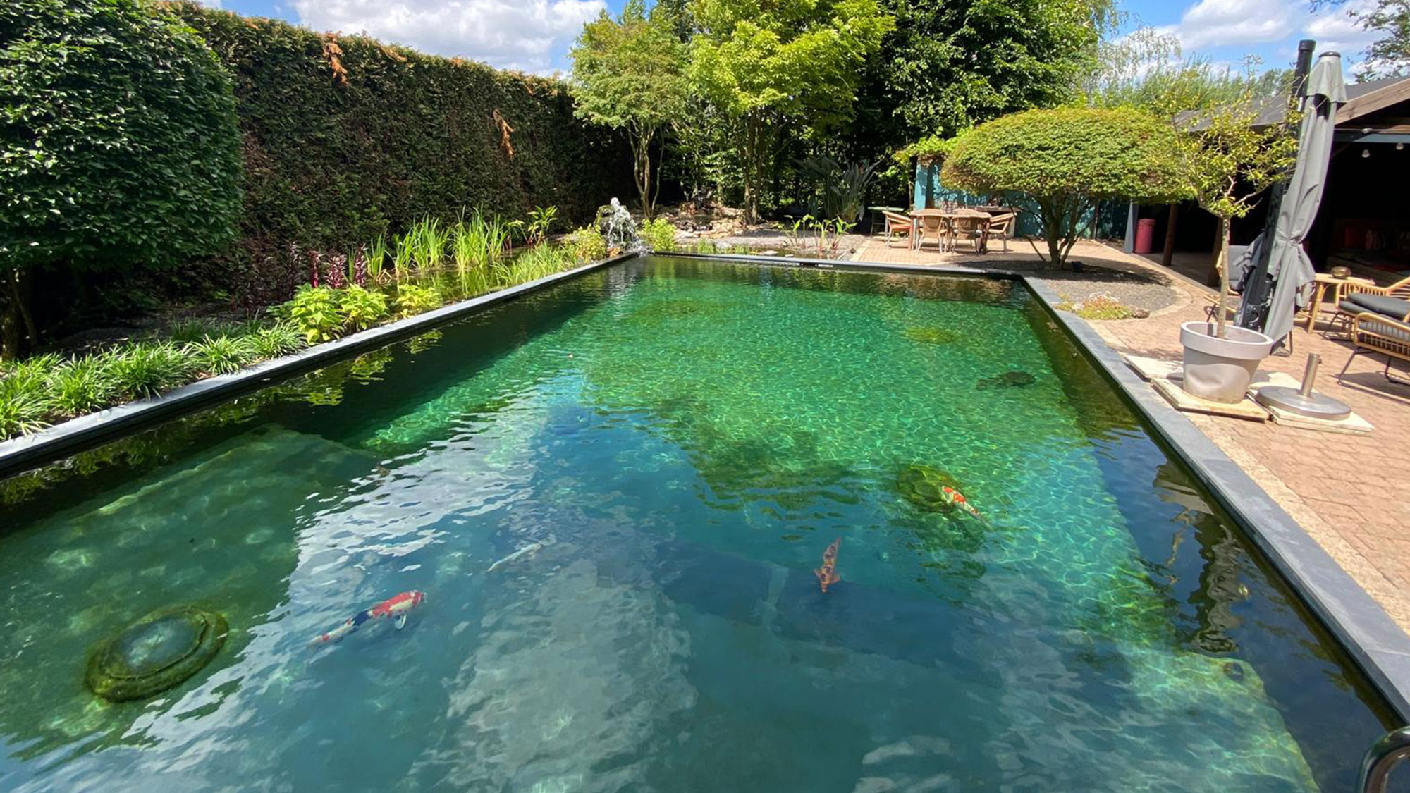 Prachtige zwemvijver in wintersetting, ook buiten zwemseizoen mooi