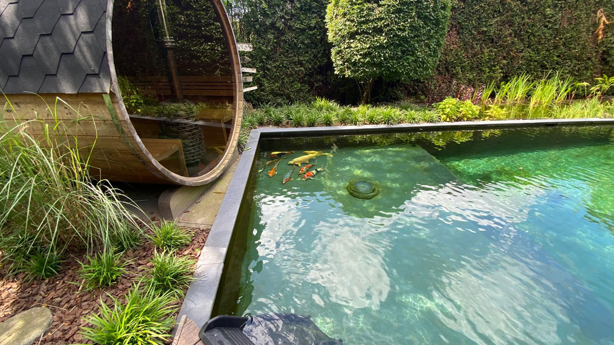 Zwemvijver met balans tussen waterplanten en helder zwemgedeelte