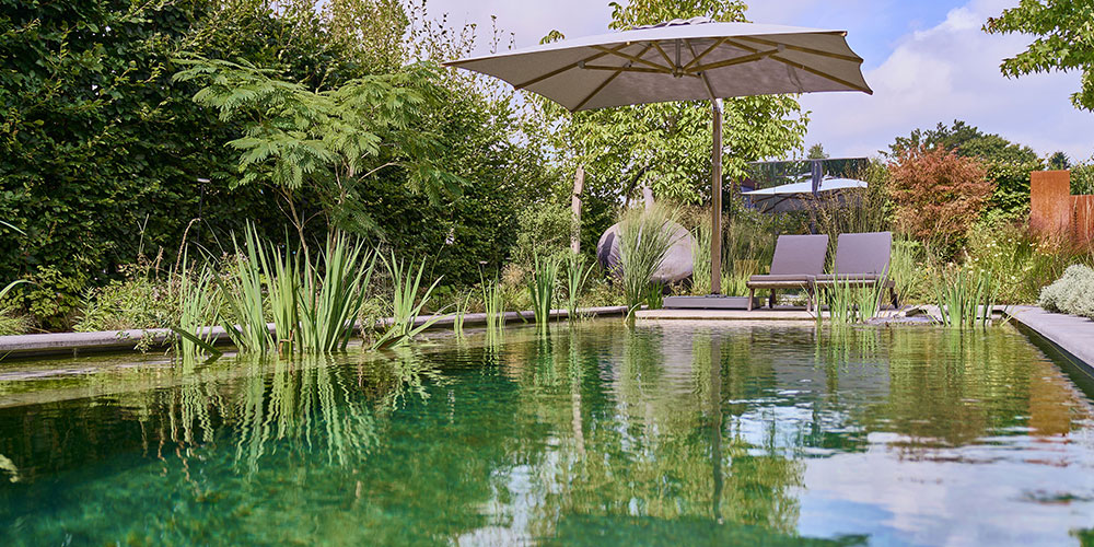 Zwemvijver met helder water en natuurlijke uitstraling