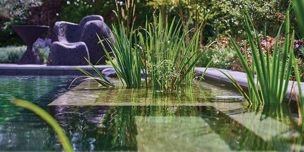Gezonde zwemvijver met juiste beplanting