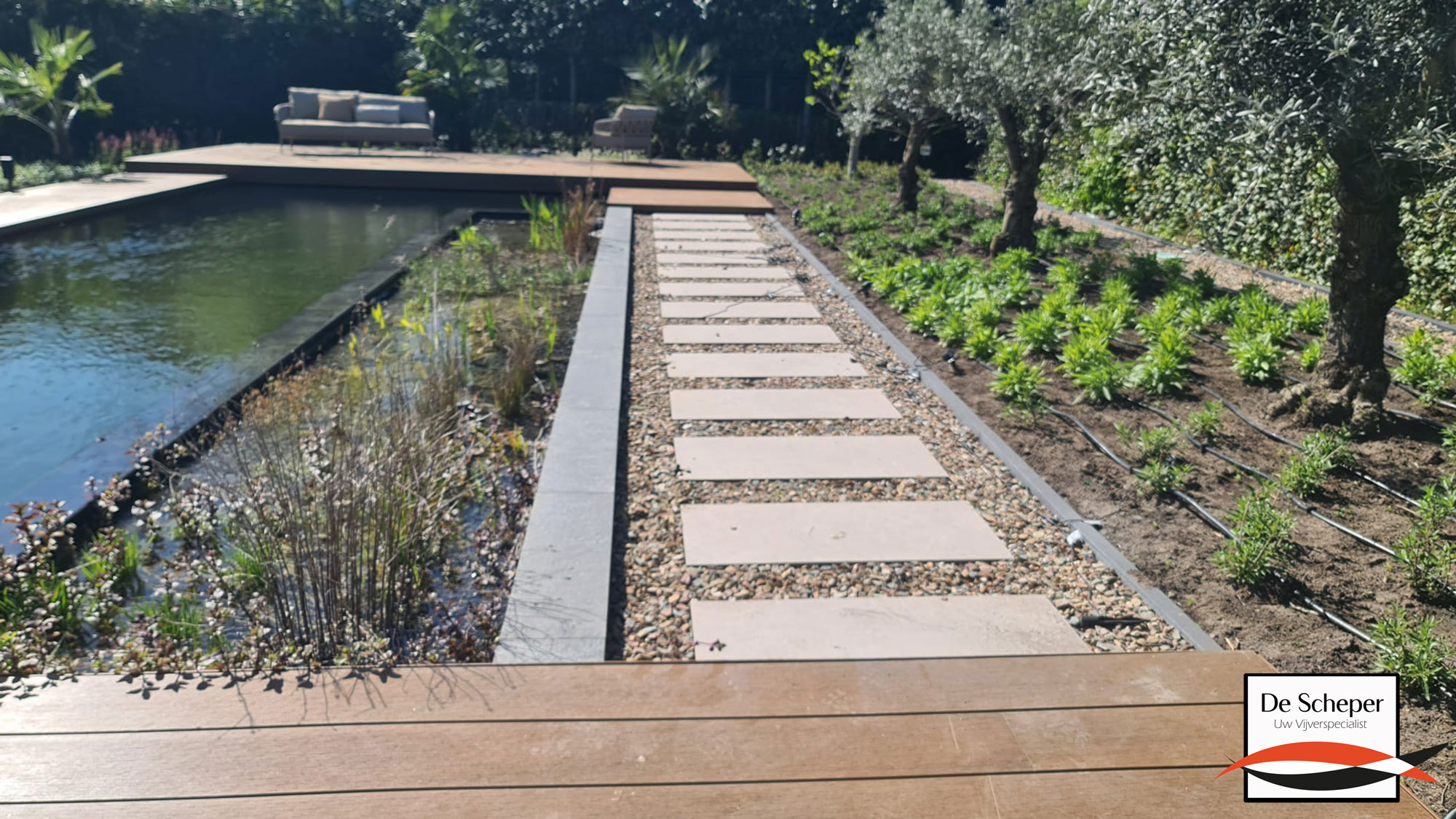 Sfeervolle-combinatie-van-hout-water-en-groen-vijvercentrum-de-scheper