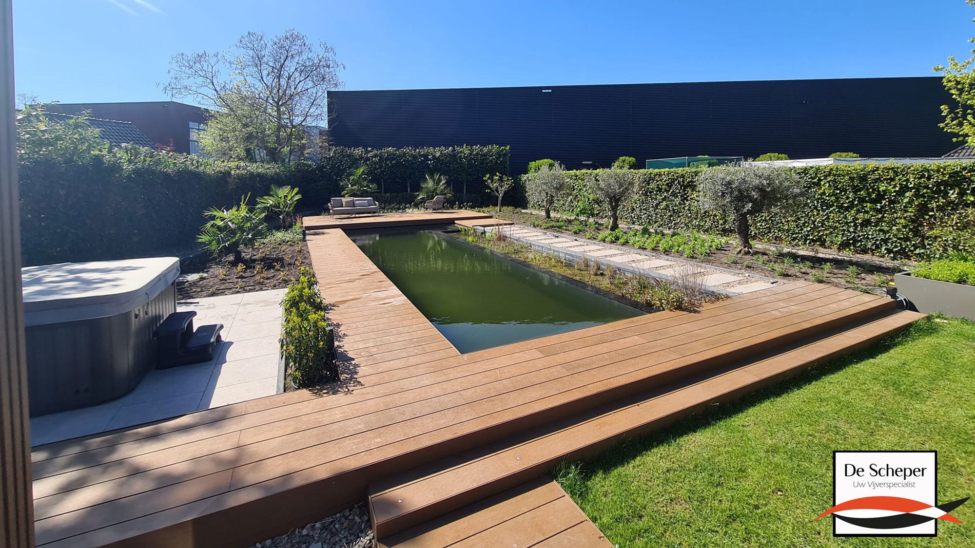 Strakke-zwemvijver-als-blikvanger-in-de-tuin-vijvercentrum-de-scheper