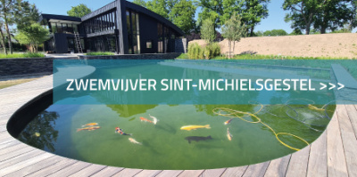 Zwemvijver Sint-Michielsgestel