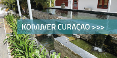 Koivijver Curaçao