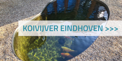 Koivijver Eindhoven