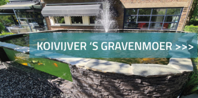 Koivijver 's Gravenmoer