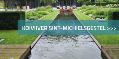 Koivijver Sint-Michielsgestel